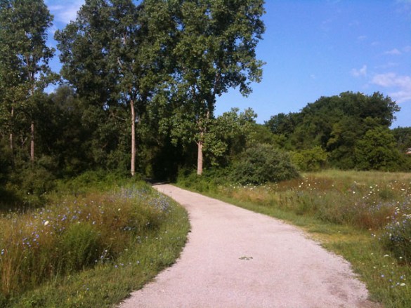 A pretty day on the Clinton River Trail