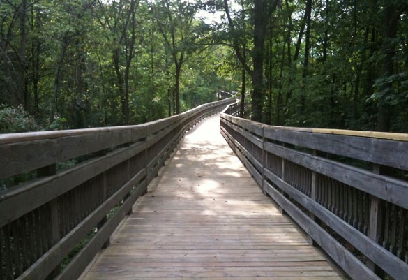 This boardwalk was really pretty.