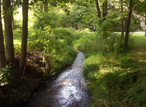 Stream by the Rochester Museum