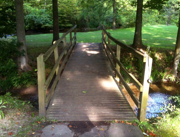 A bridge behind the Rochester Museum