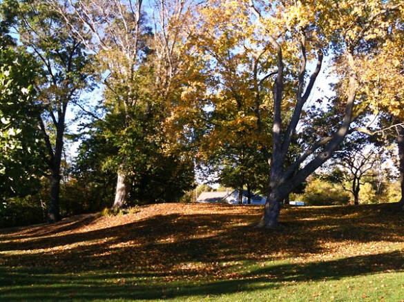 Rochester Municipal Park