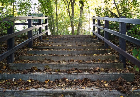 Along the Paint Creek Trail