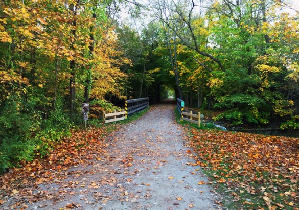 Paint Creek Trail was beautiful this week