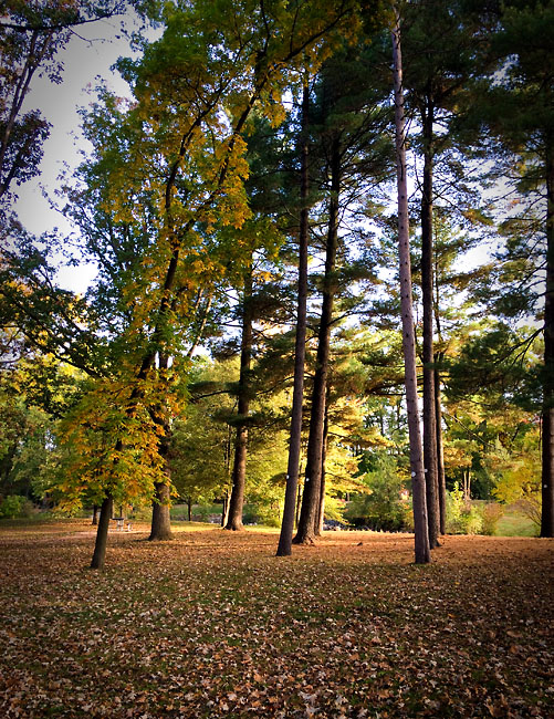 Rochester Municipal Park