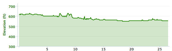 The elevation