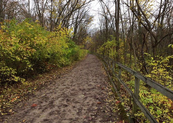 The trail at Yates Cider Mill