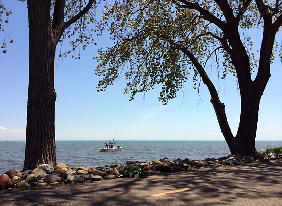 One of my favorite pictures from Lake St. Clair Metropark.