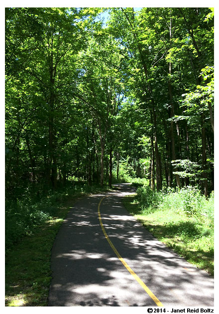 On the way to the nature center.