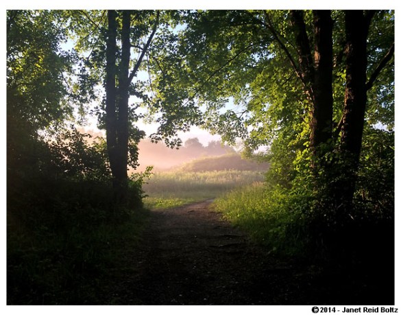 I felt like I was in a storybook when I came across this spot.