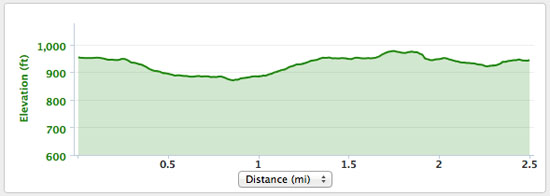 The elevation according to my Garmin.