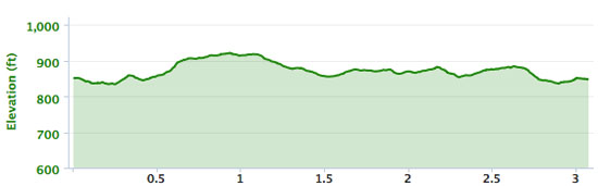 The elevation according to my Garmin.