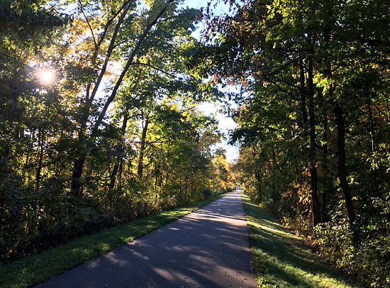 2014-10-11 - wild life marathon trail3