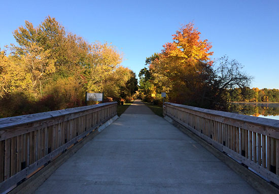 2014-10-11 - wild life marathon trail7