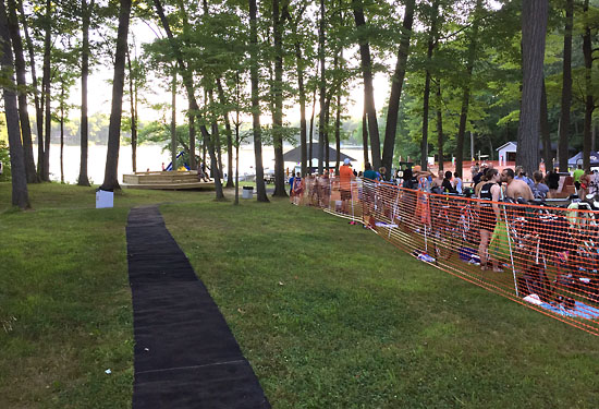 The path from the beach up to the transition area.