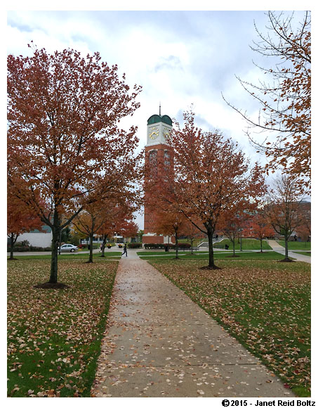 We ran by this clock tower during the race too.