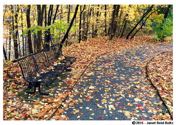 A pretty spot in GVSU's arboretum.