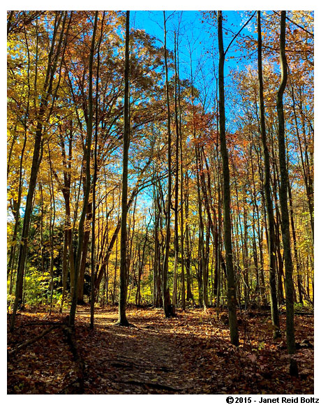 Hemlock Crossing in West Olive, south of Grand Haven.