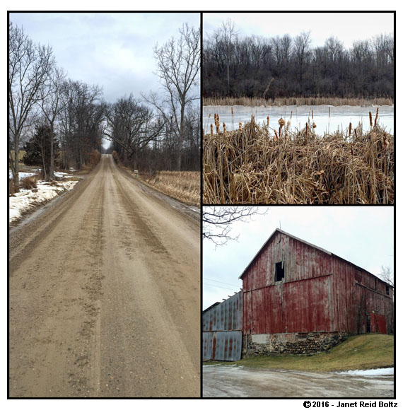 Sights from a run in Oakland Township.