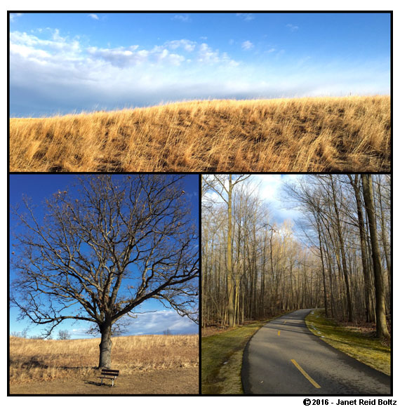 Indian Springs Metropark has a nice 8-mile path.