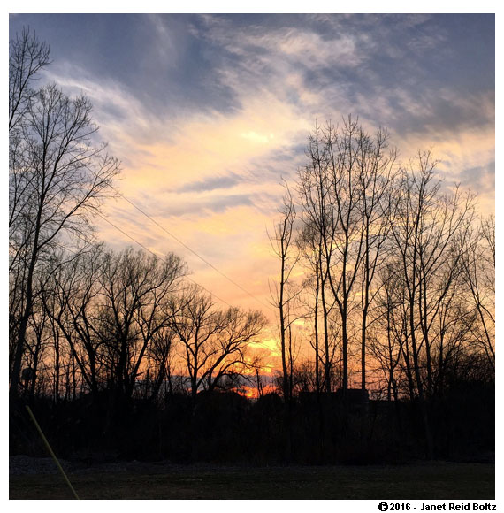 Though it sure hurt struggling through the ladder workout, I was thankful I had this pretty view to distract me.