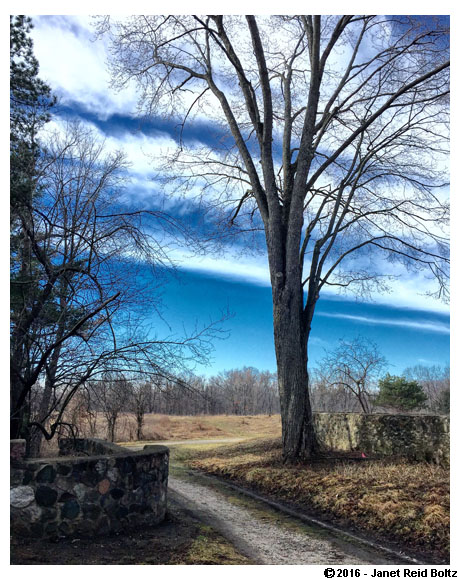 Sometimes it feels like I'm in a fairy tale when I explore Stony Creek Metropark's trails.