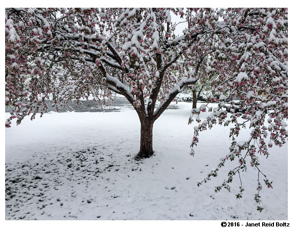 2016-04-17 - denver city park1