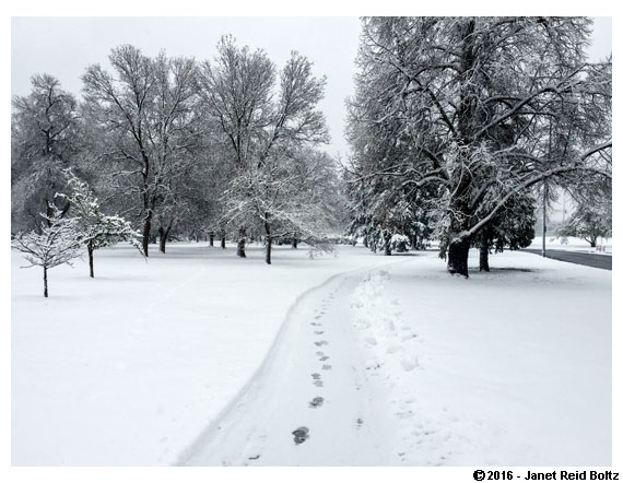 2016-04-17 - denver city park4