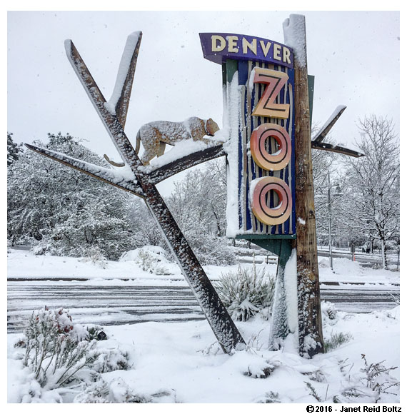 A snowy Denver Zoo