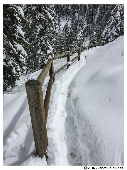 2016-04-18 - eldorado canyon6