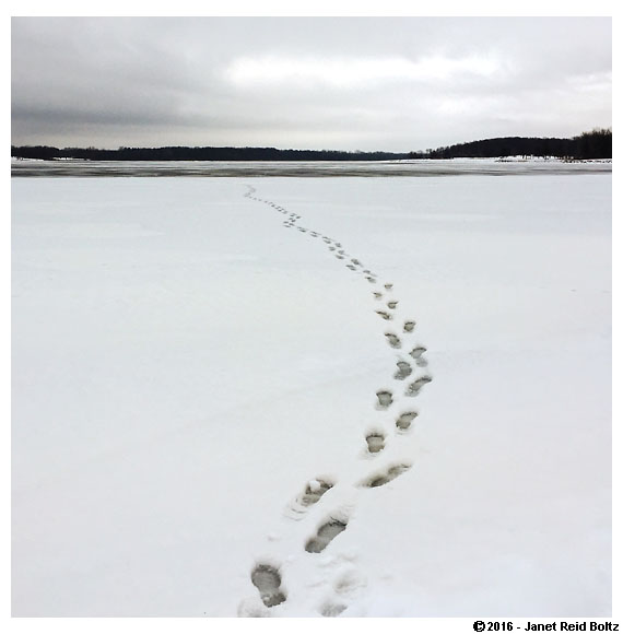 A recent shot from Stony Creek Metropark
