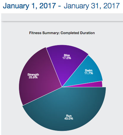 2017-02-12-january-workouts