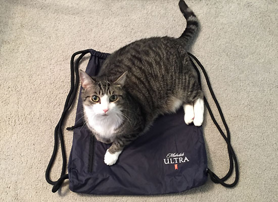 2017-11-12 - big bird romeo bag