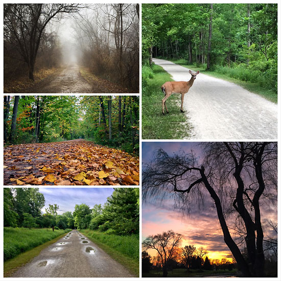 2017 paint creek trail