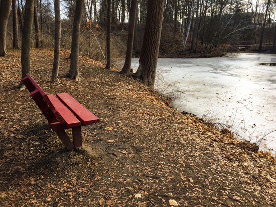 2018-01-28 - rochester1