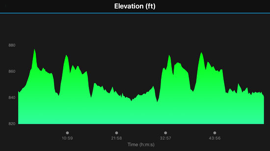 2018-07-04 - red white and boom - elevation