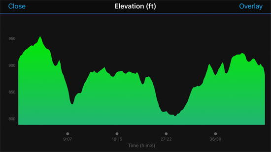2018-08-30 - romeo peach fest elevation