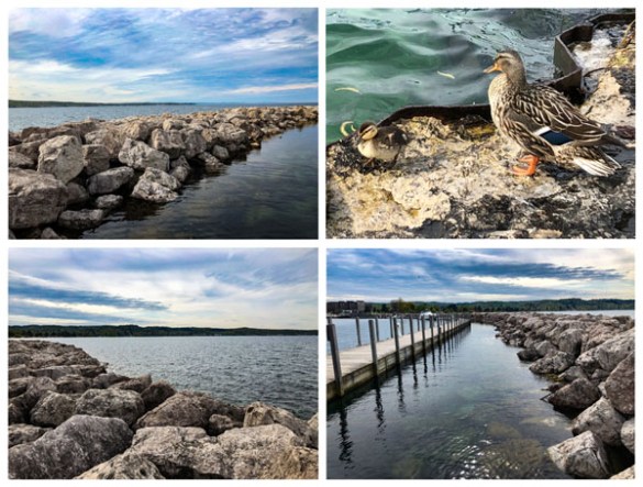 2019-05-24 - bayshore1
