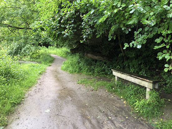 2019-07-27 - loopty loop trail2