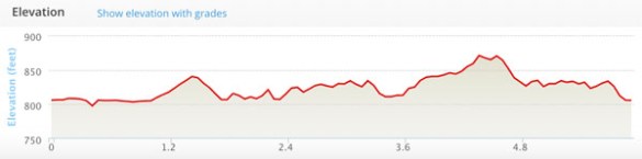 2020-03-22 - ann arbor stony elevation