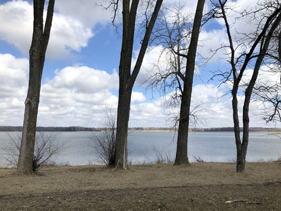 2020-03-22 - ann arbor stony1