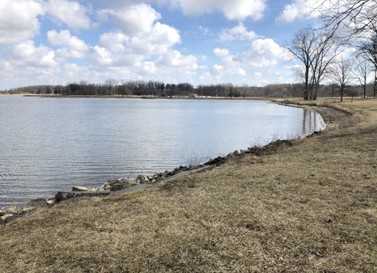 2020-03-22 - ann arbor stony2