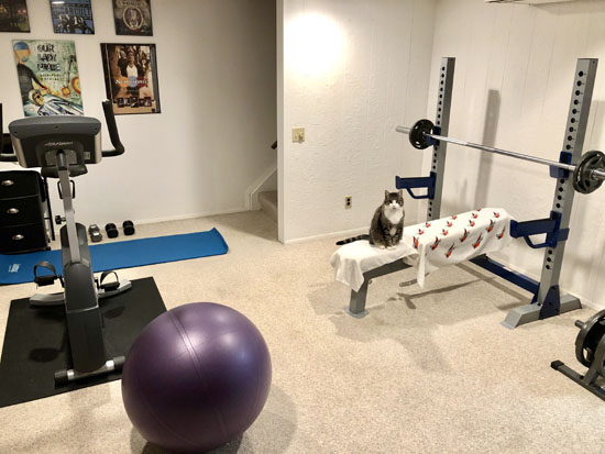 2020-03 - romeo weights