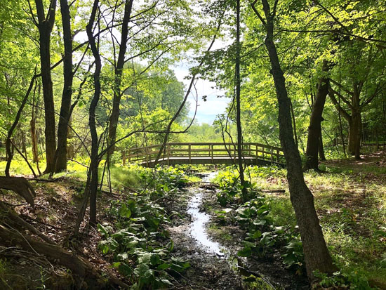 2020-07 independence oaks1