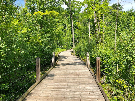 2020-07 independence oaks2