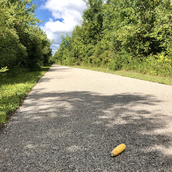 2020-08-30 - macomb orchard1